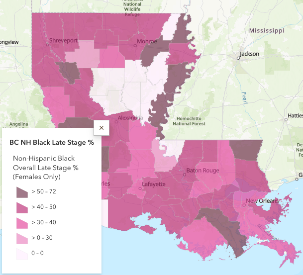Non-Hispanic Black Late Stage Diagnosis